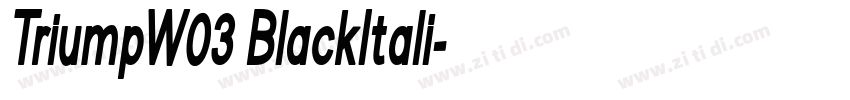TriumpW03 BlackItali字体转换